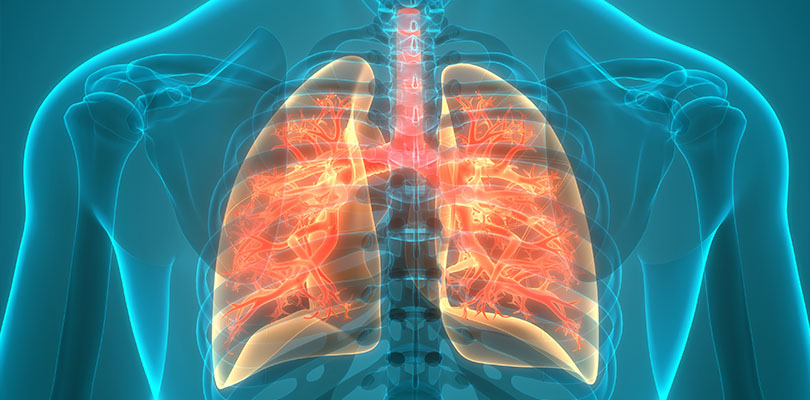 瑞金呼吸再发力，揭示PMTT患者呼吸道不同部位菌群特征