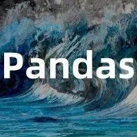 Python数据科学—pandas数据包